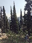 Ruth Bennett McDougal Dorrough; Maple Heather Trail, WA